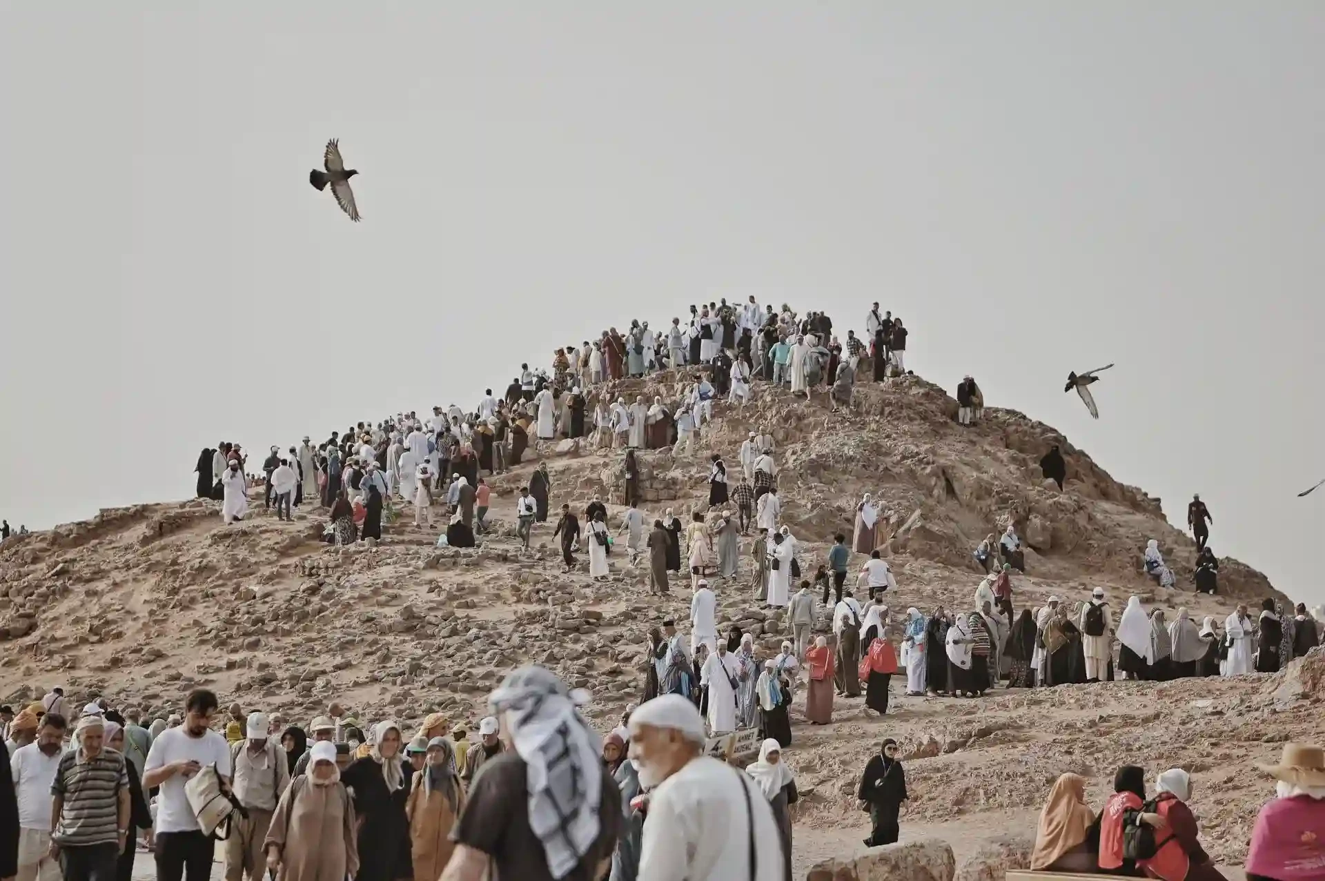 Arafah Tempat Wukuf dalam Rangkaian Ibadah Haji